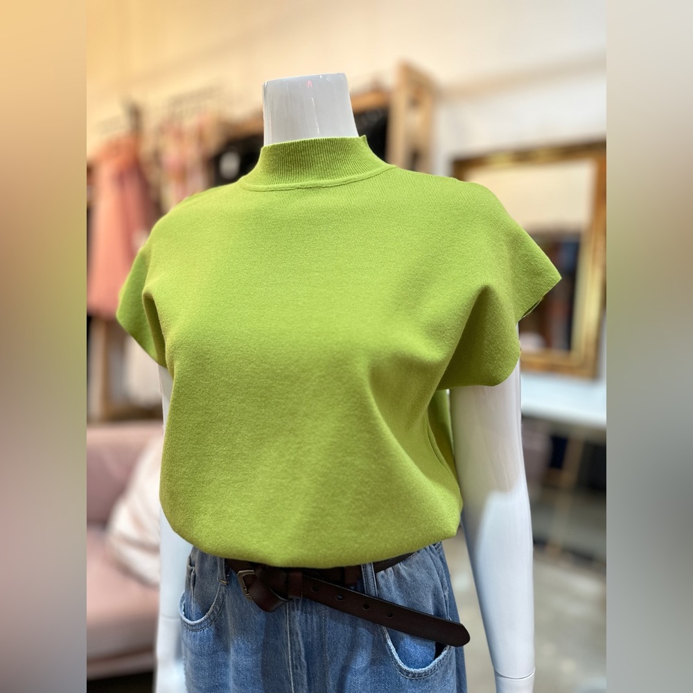Mock Neck Short Wide Sleeve Top